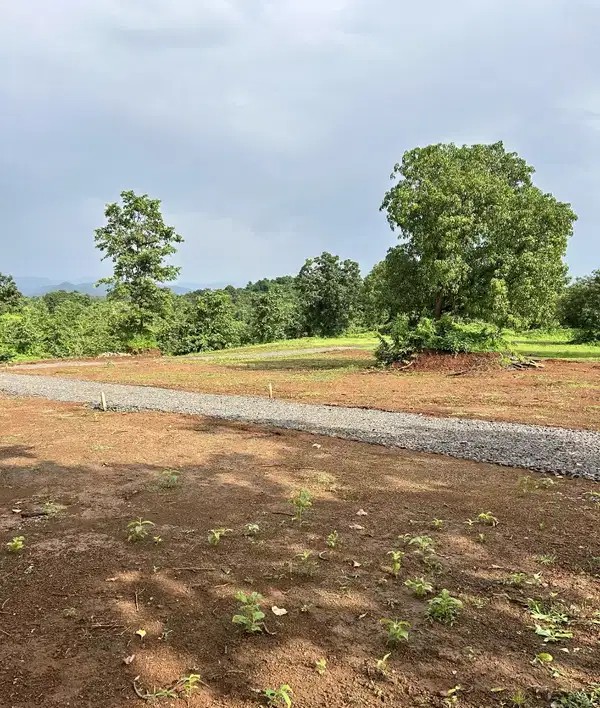 Farm land in neral just 199₹/sqft leagal spot book now
