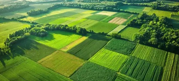 1000sqft plot for sale