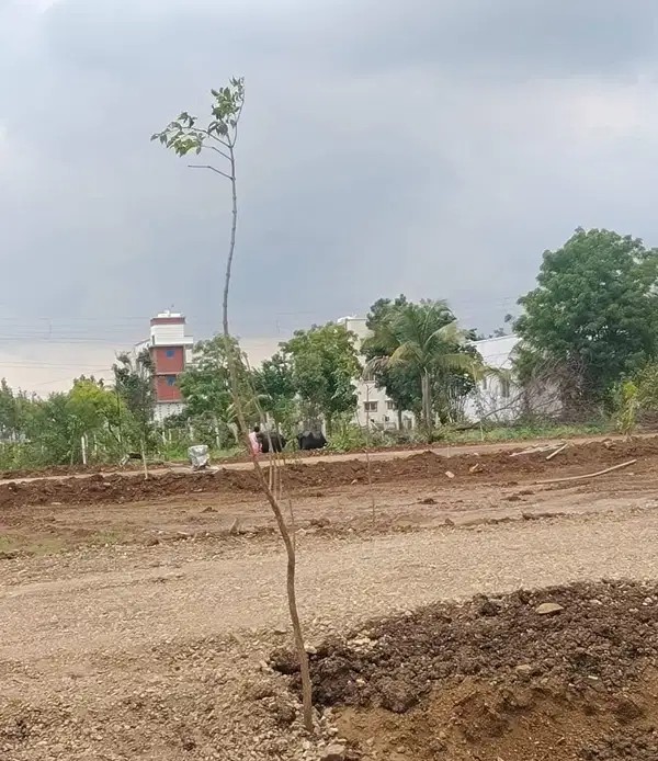 Bungalow Plots for sales in Kesnand Wadegaon Raod