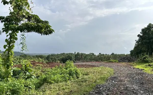 Farm land in neral just 199₹/sqft leagal spot book now