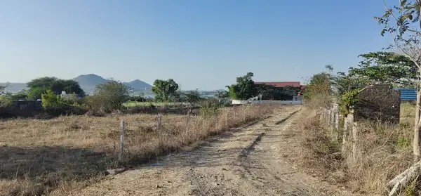 Gangapur Dam View, 11 Gunthe Plot For Sale,Near Stay Vista Resort 