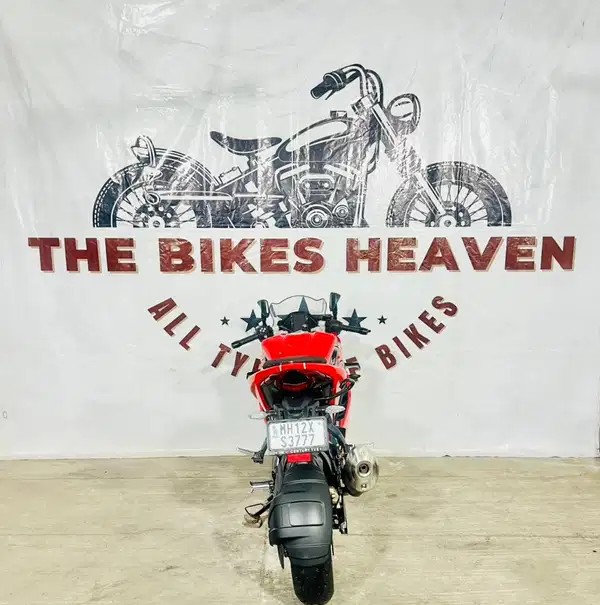 tvs apache rr 310 (2025)